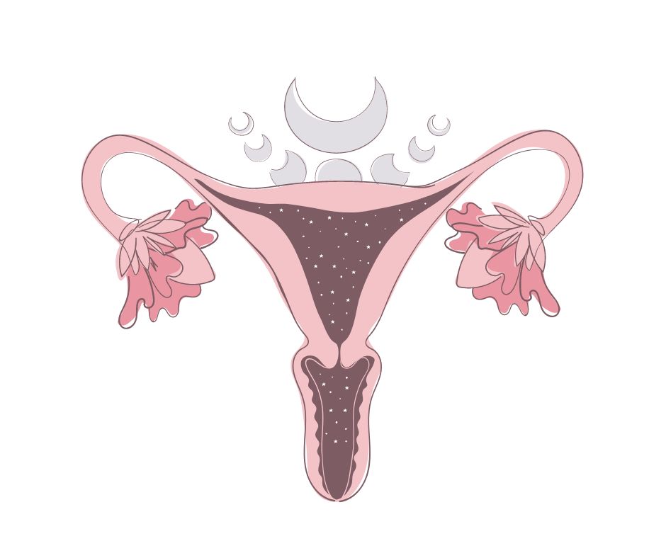 consider the benefits and risks of a hysterectomy with dr kent kuswanto gynaecologist